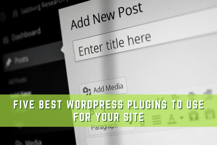 WordPress Plugins Graphic